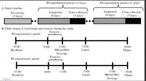 Nitrogen_balance_study