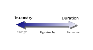 Strength endurance continuum