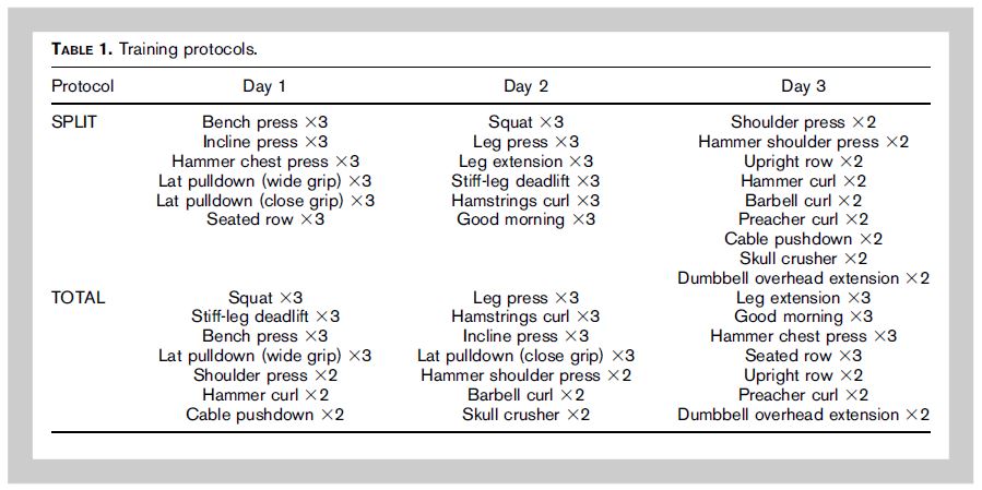 Trainingsplan Muskelaufbau Split - Full Body Workout Blog