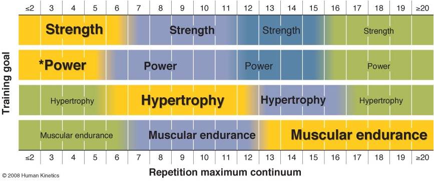 the Best Rep Range for Strength Size?