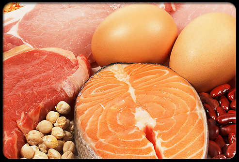 food protein